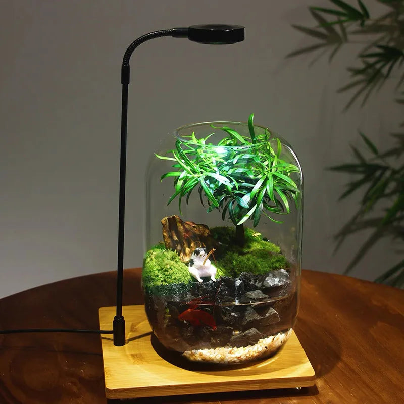 Electra Large Terrarium Enclosure